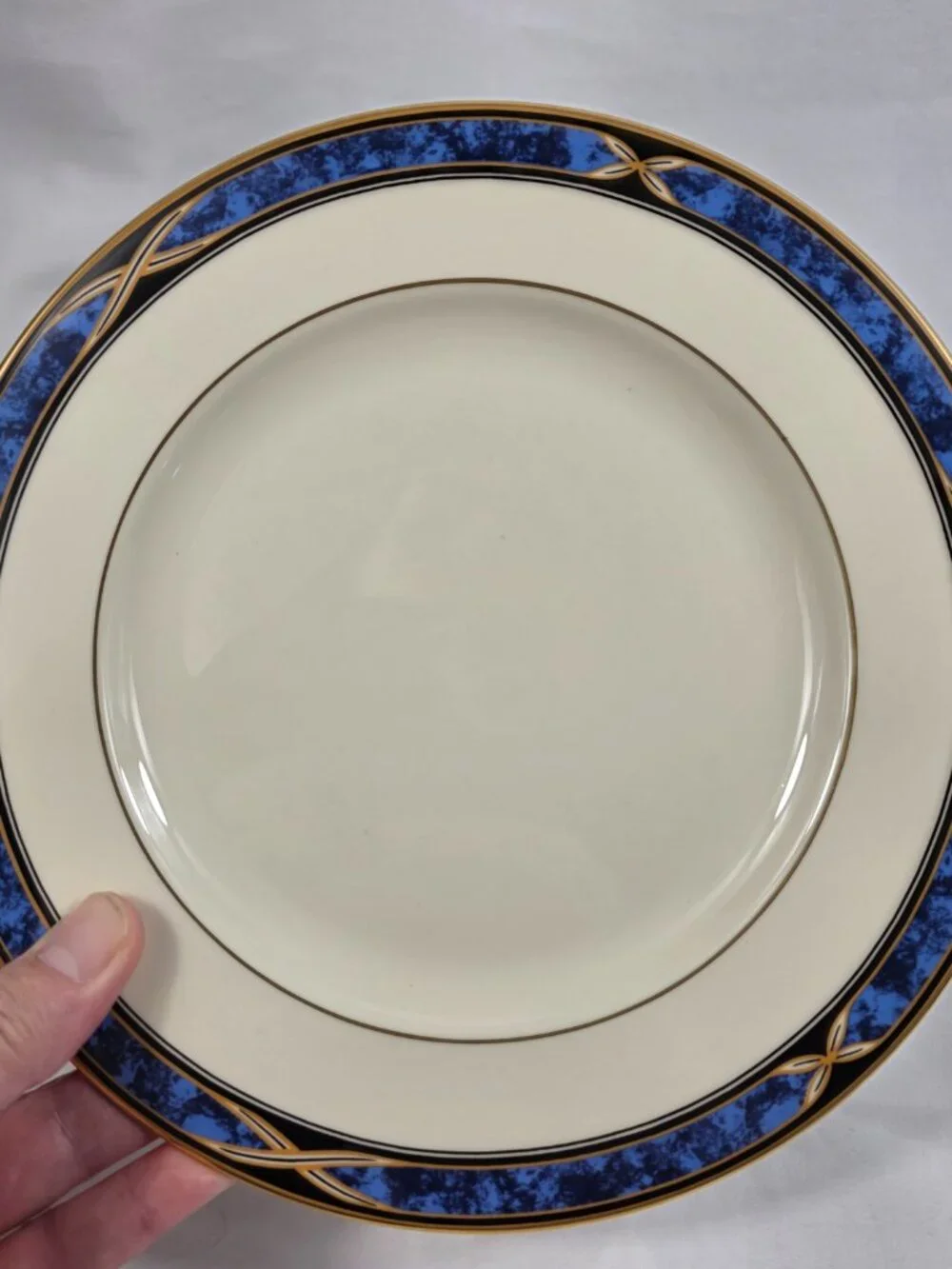 Lenox Mountain View American Home Salad Plate Blue Marble Rim